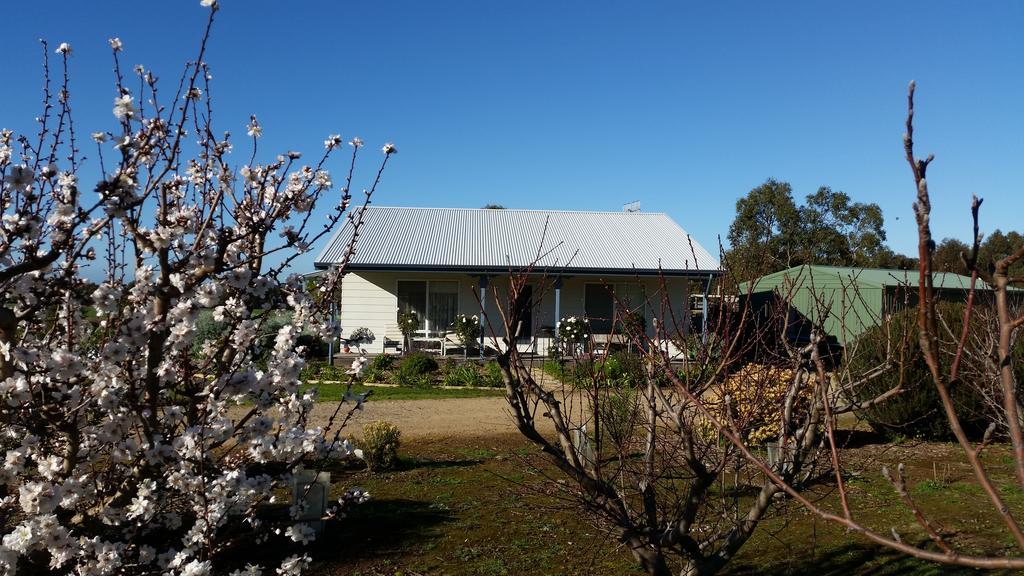 Linger Longer Cottages 埃利奥特港 外观 照片